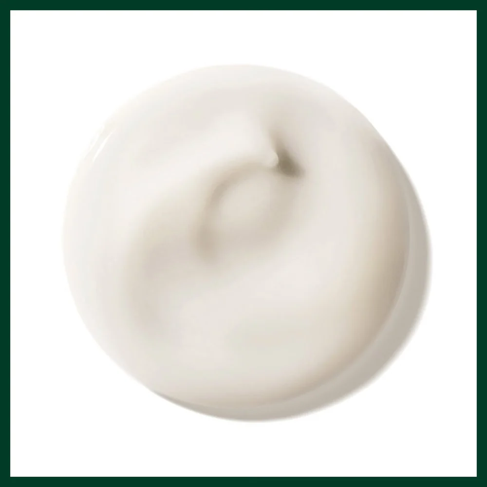 Aveda Botanical Repair Bond-Building Pre-Shampoo Treatment 150ml - Image 6