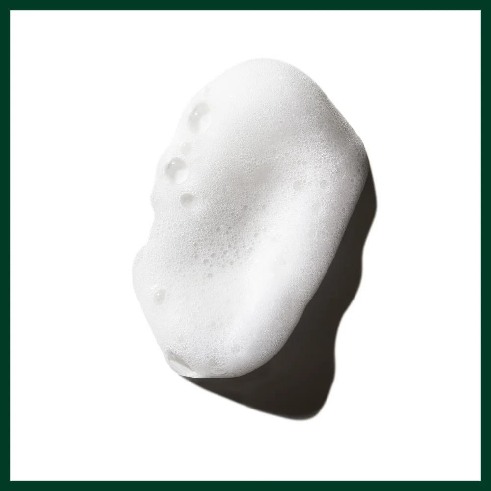 Aveda Phomollient Styling Foam 200ml - Image 7