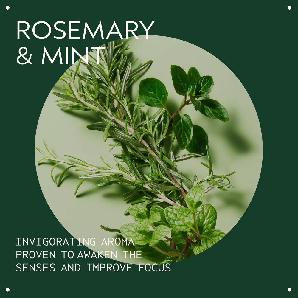 Aveda Rosemary Mint Weightless Conditioner 250ml - Image 3