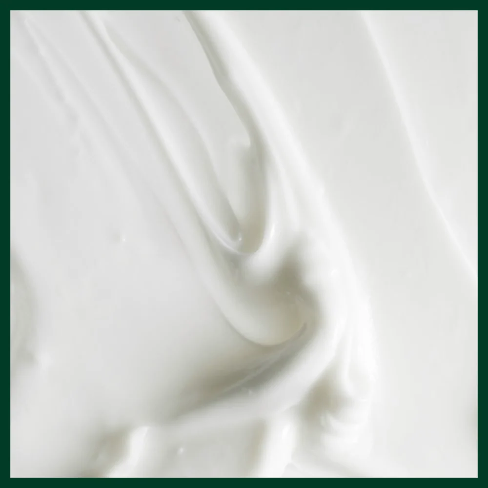 Aveda Scalp Solutions Replenishing Conditioner 200ml - Image 6