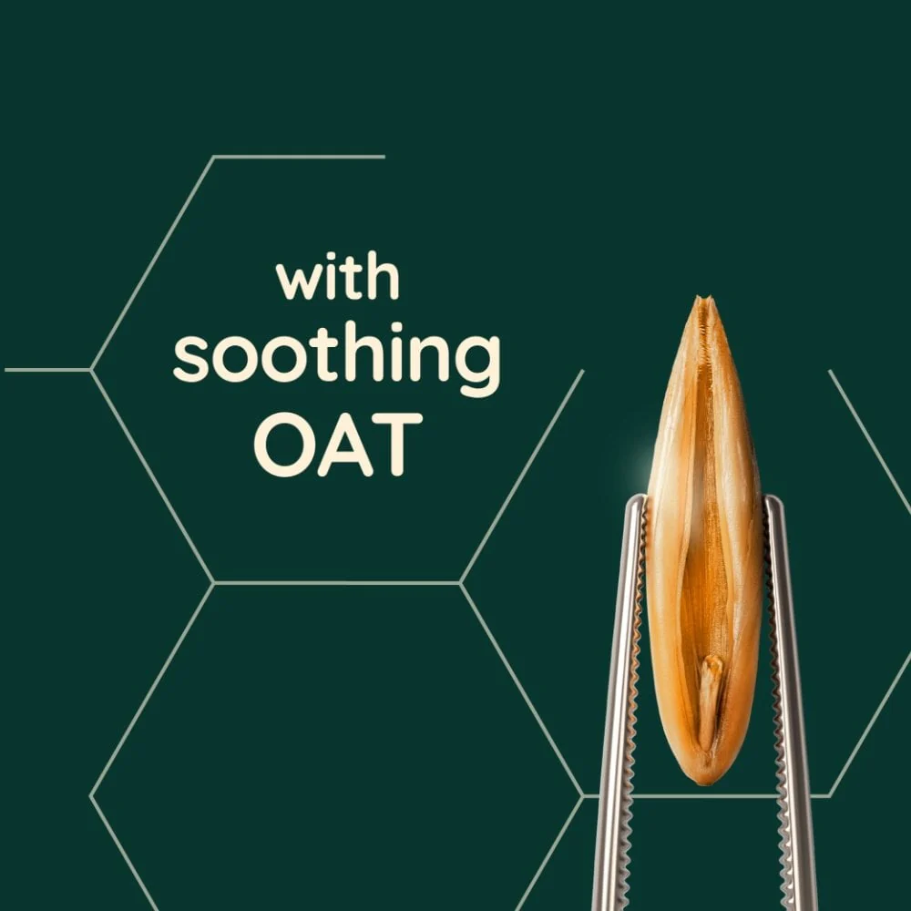 Aveeno Colour Protect+ Blackberry & Quinoa Blend Conditioner 300ml - Image 8