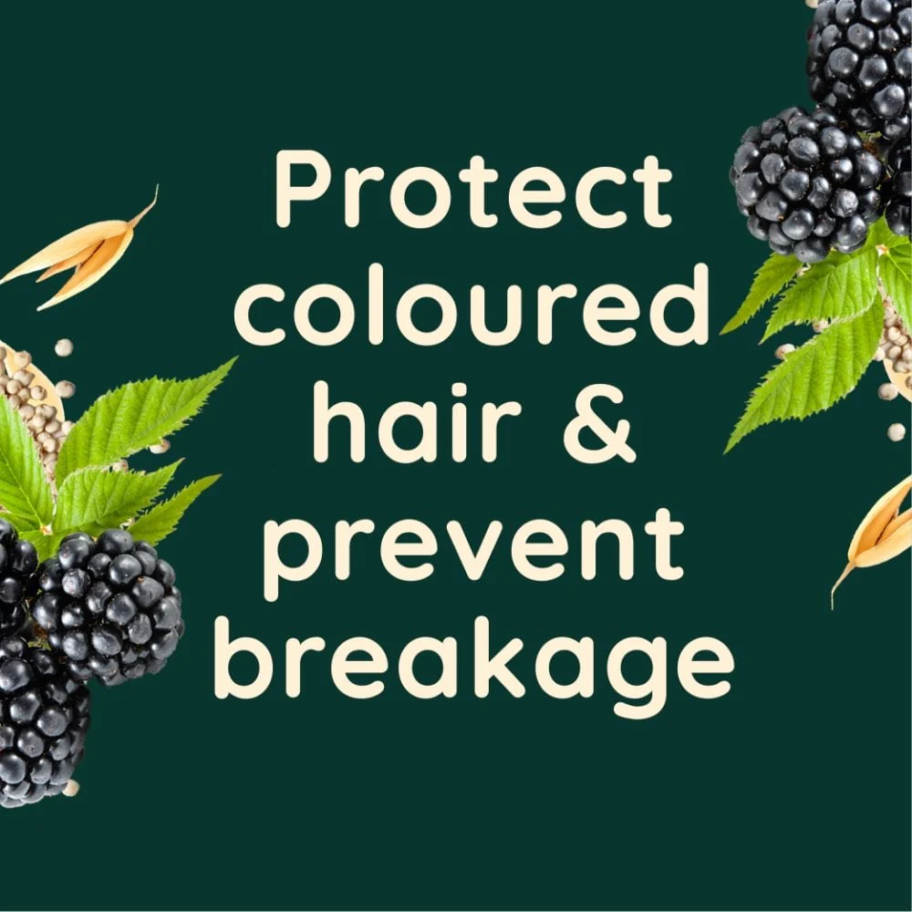 Aveeno Colour Protect+ Blackberry & Quinoa Blend Shampoo 300ml - Image 3