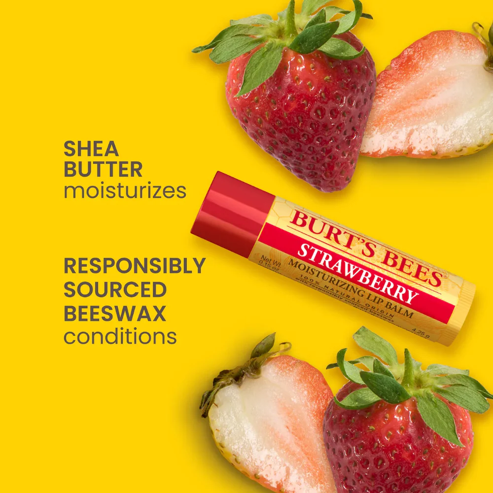 Burt's Bees Best Of Burts Lip Balm Set 4 x 4.25g - Image 4