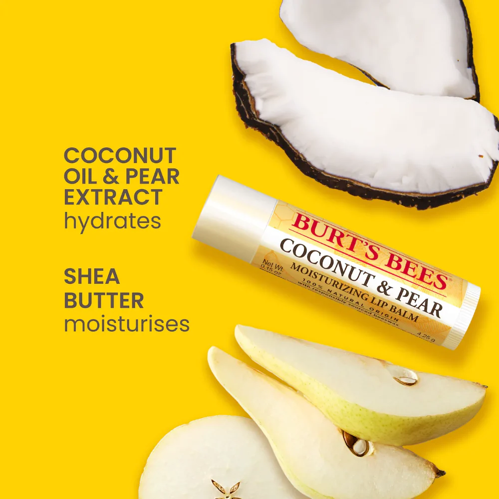 Burt's Bees Best Of Burts Lip Balm Set 4 x 4.25g - Image 5