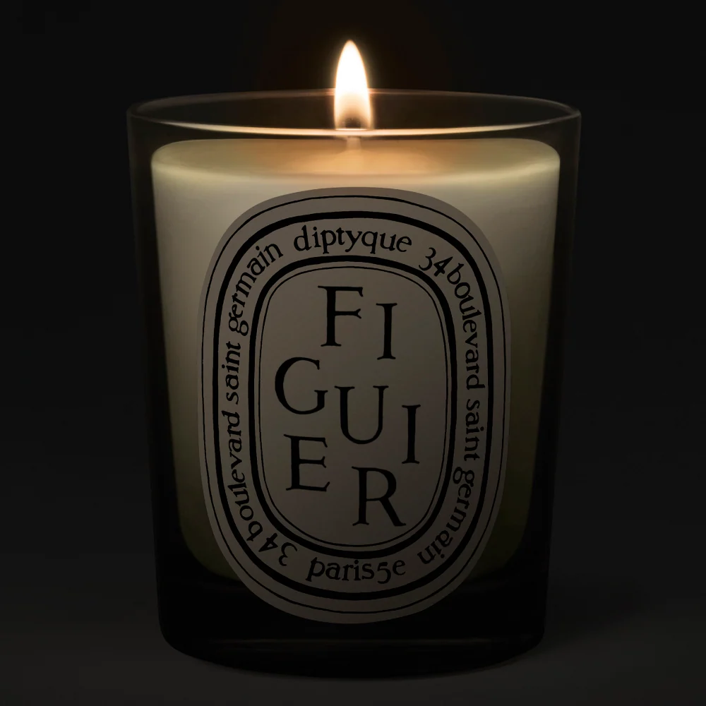 Diptyque Figuier Classic Jar Candle 190g - Image 2