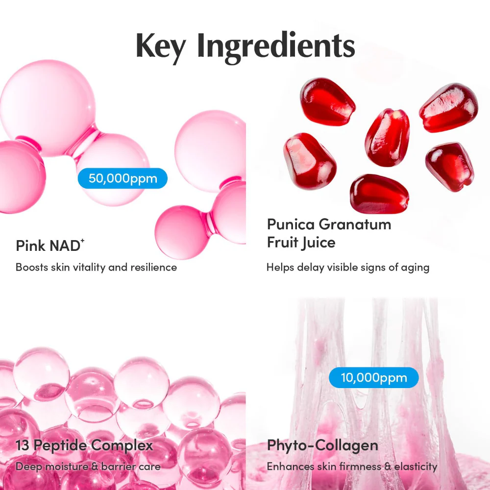 Eqqualberry Lush Blush NAD+ Peptide Boosting Cream 50ml - Image 6