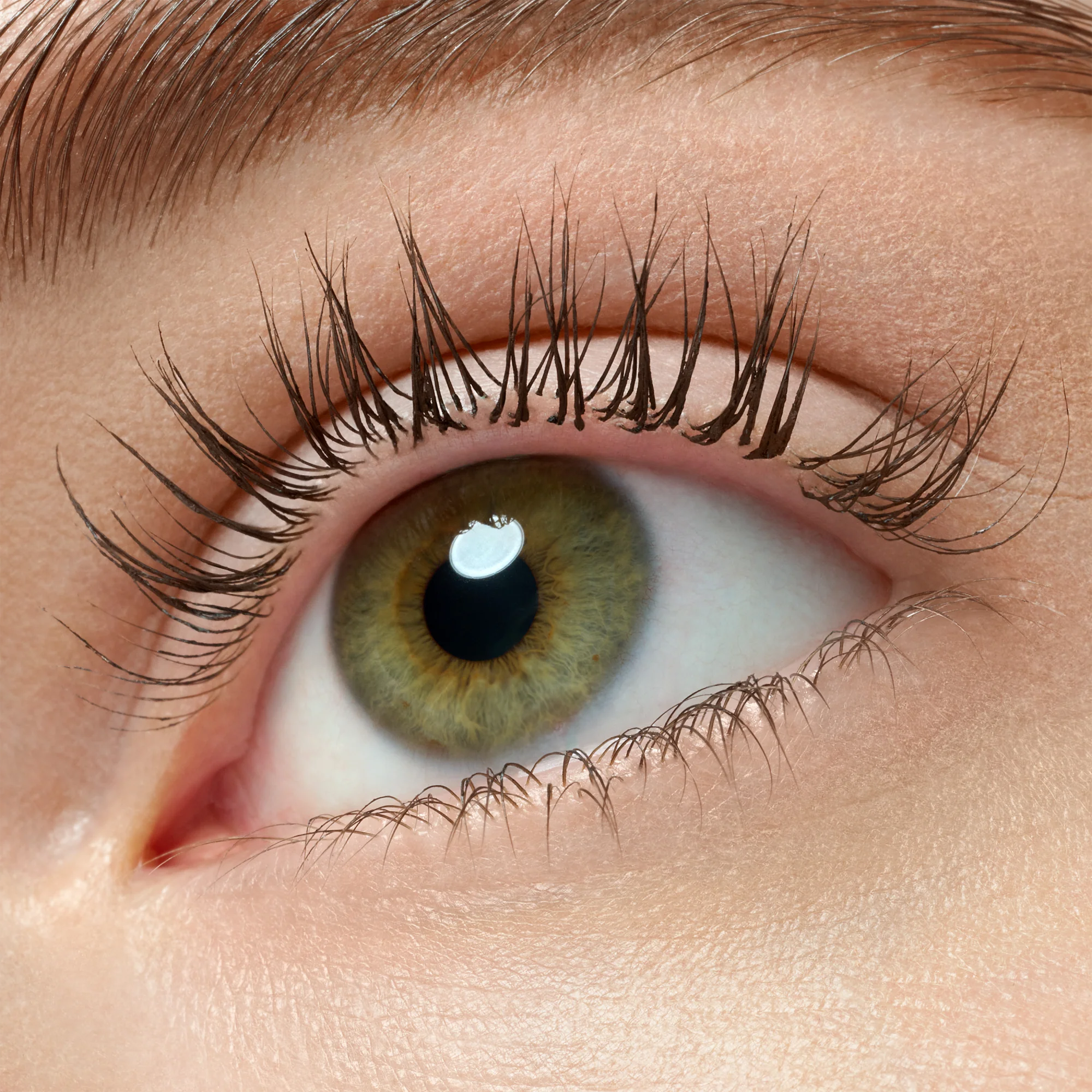 Essence Lash Princess False Lash Effect Mascara Black/Brown 12ml - Image 8