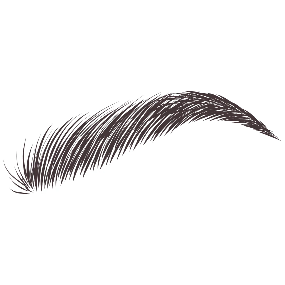 Eylure Dybrow Dye Kit Black - Image 2