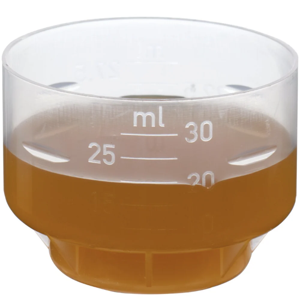 Floradix Magnesium Liquid 250ml - Image 4