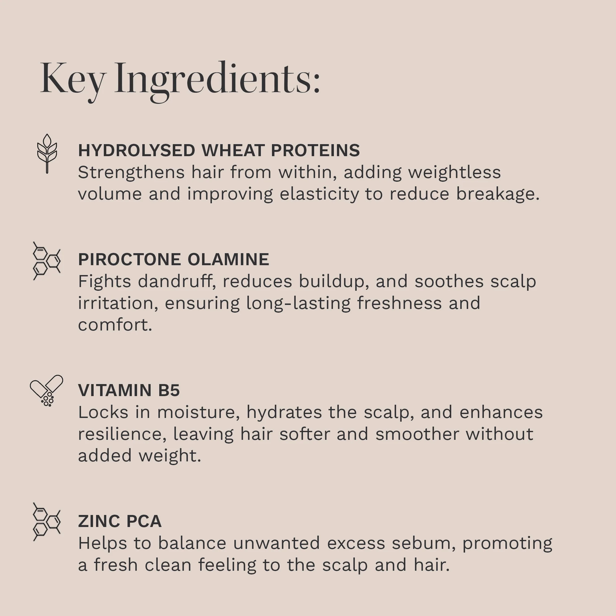 Hairburst Oily Scalp & Root Conditioner 350ml - Image 4