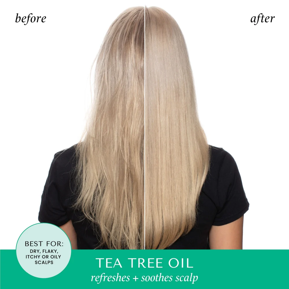 Hask Tea Tree Oil Invigorating Conditioner 355ml - Image 3