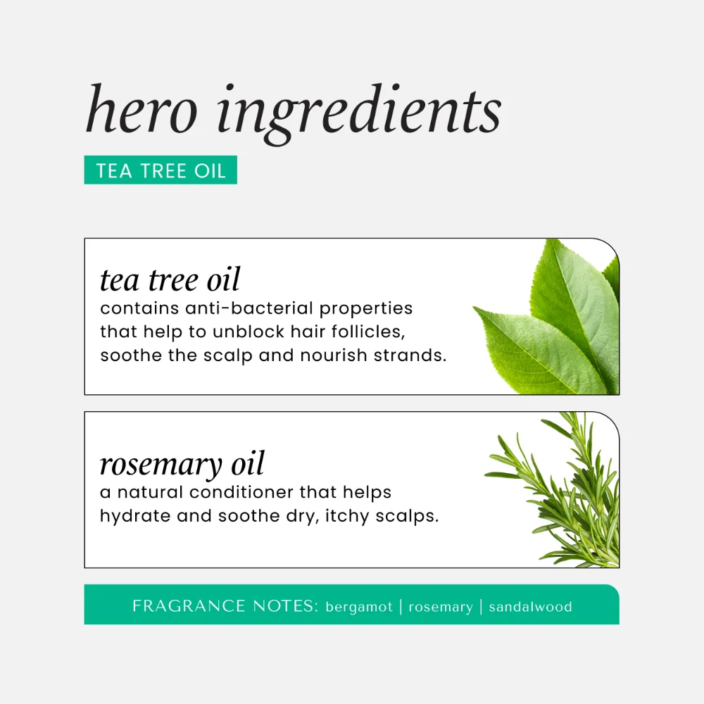 Hask Tea Tree Oil Invigorating Conditioner 355ml - Image 5