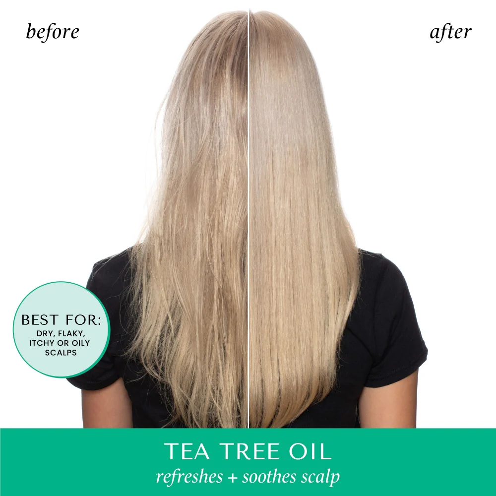 Hask Tea Tree Oil Invigorating Shampoo 355ml - Image 2