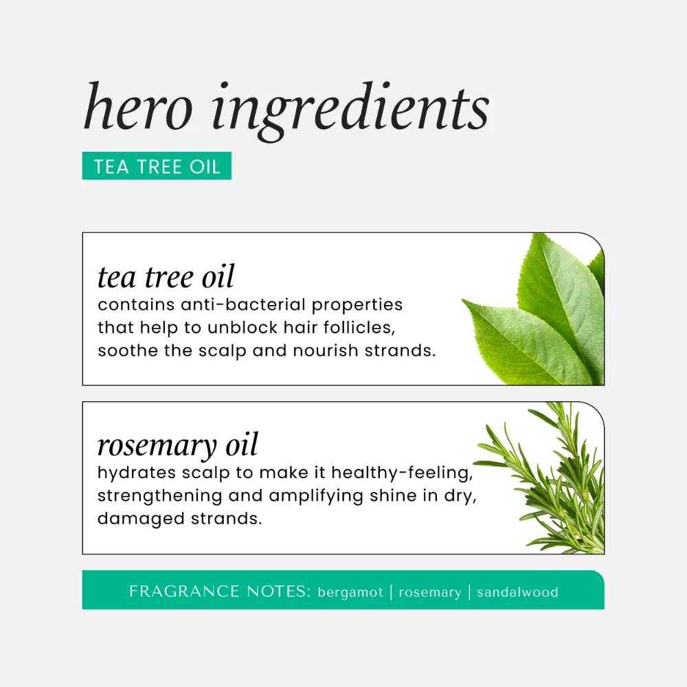 Hask Tea Tree Oil Invigorating Shampoo 355ml - Image 5