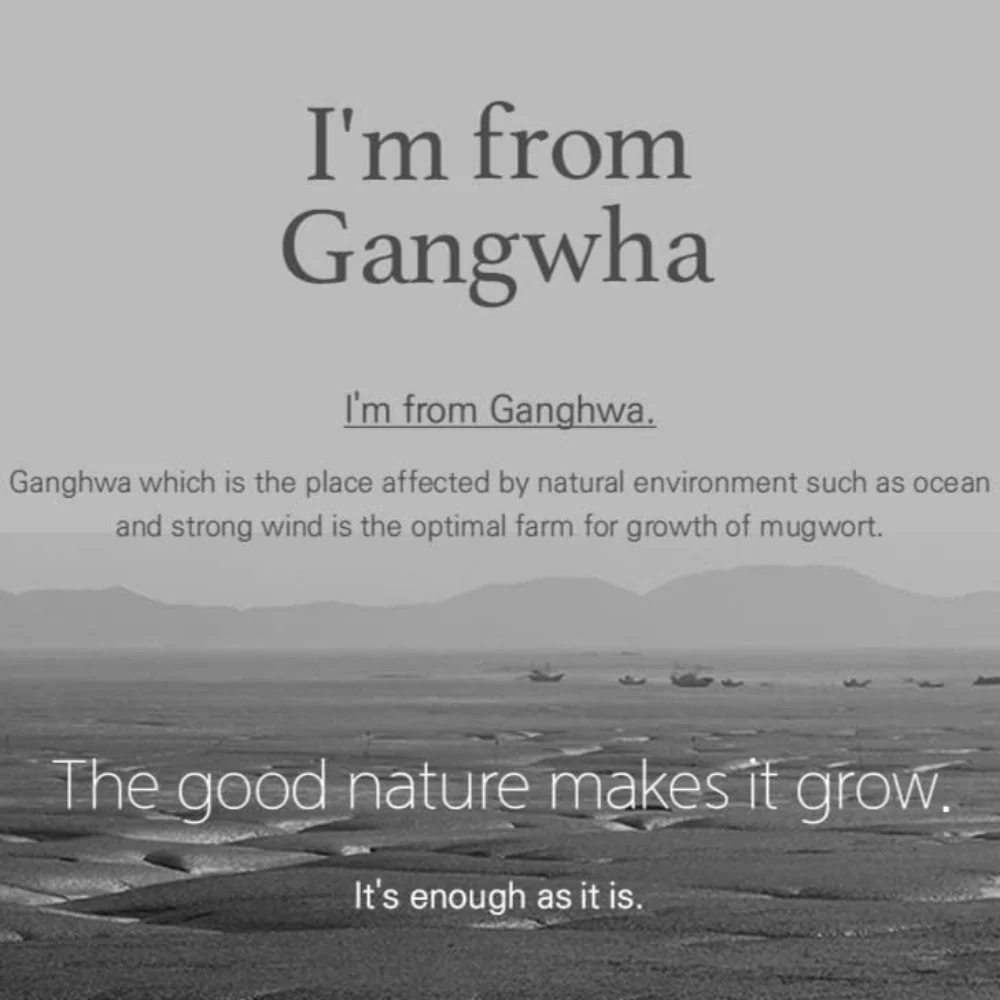 I'm From Mugwort Mask 30g - Image 4