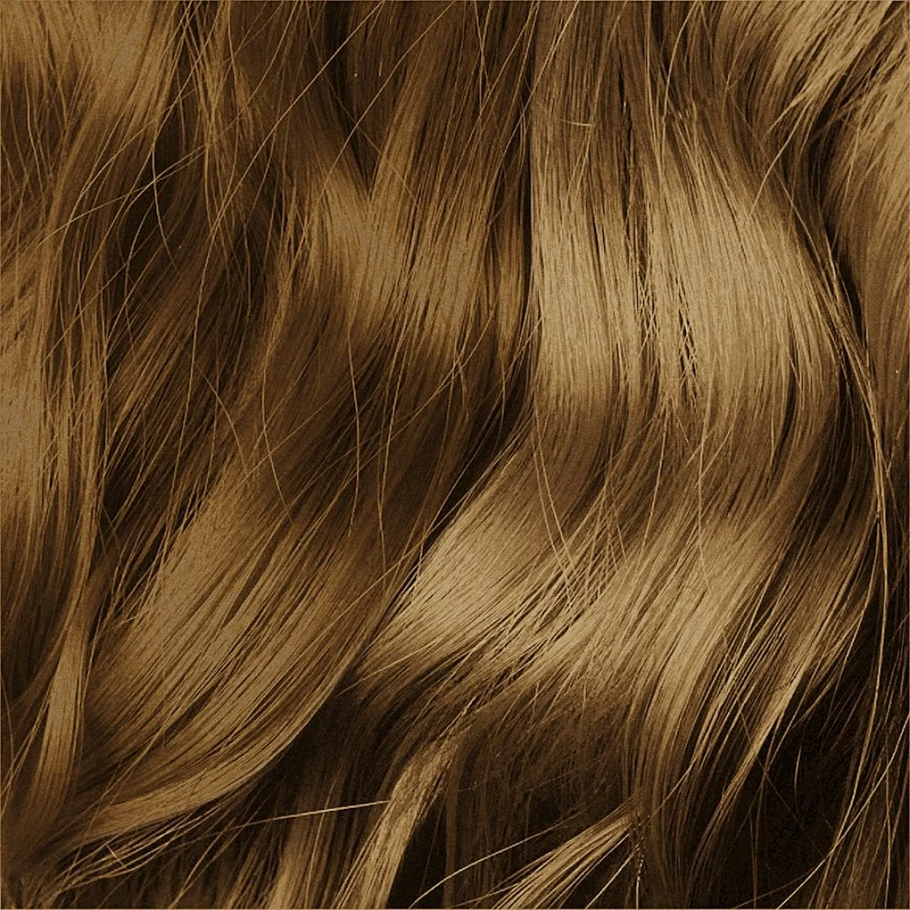 Indola Colour Style Mousse Medium Blonde 200ml - Image 2