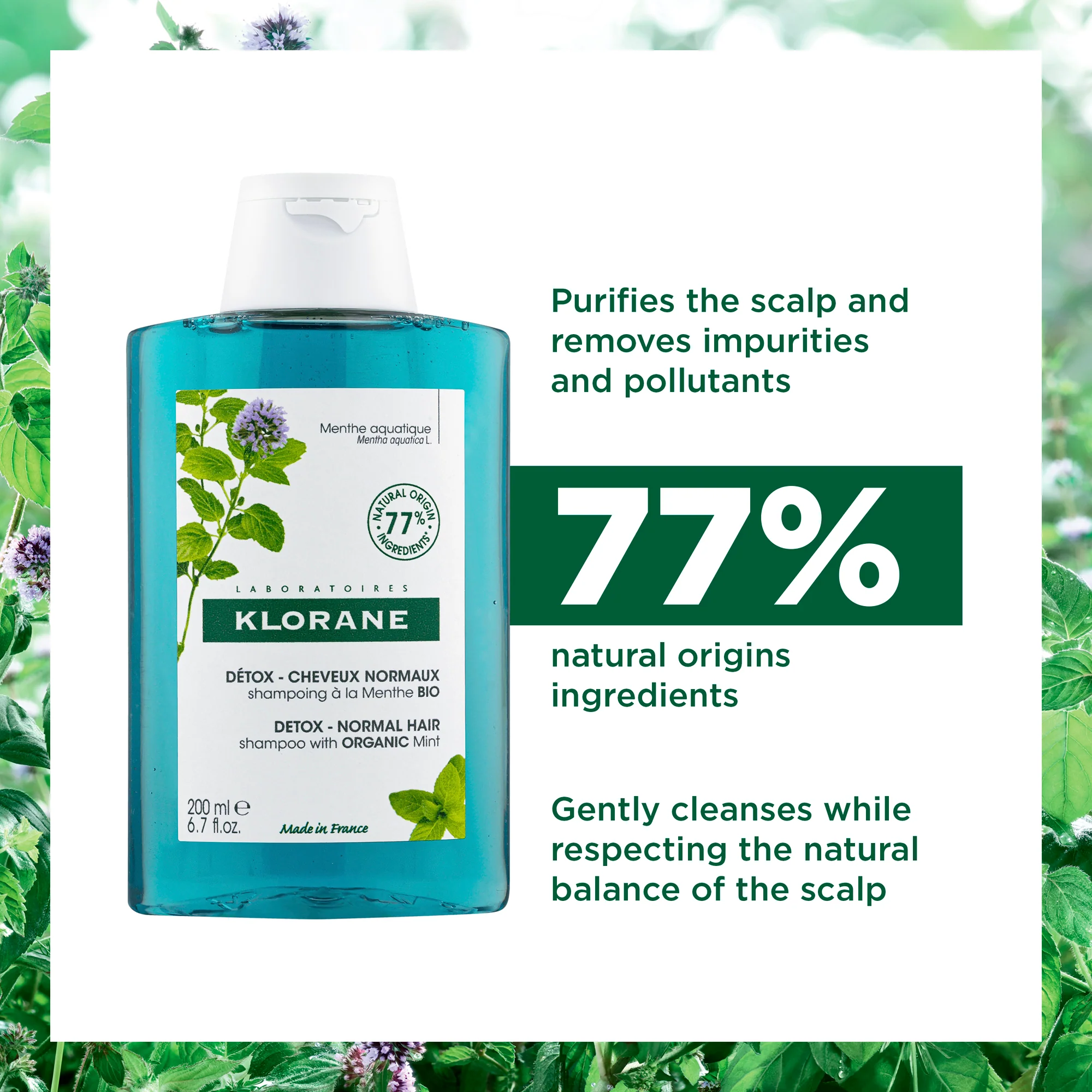Klorane Detox Shampoo 200ml - Image 2