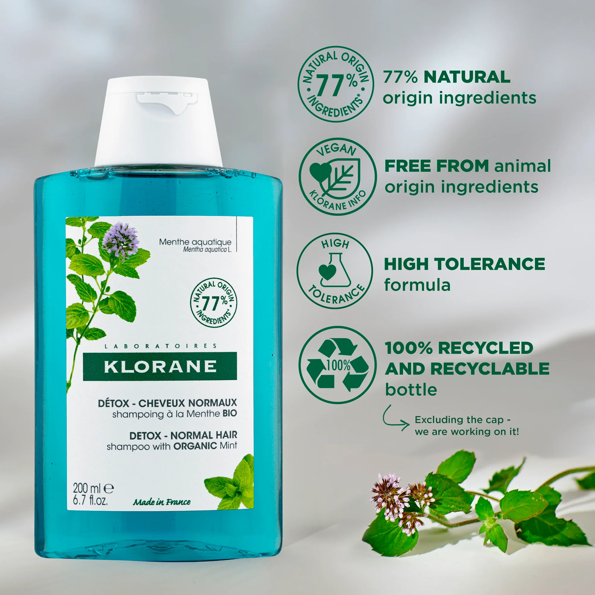 Klorane Detox Shampoo 200ml - Image 3