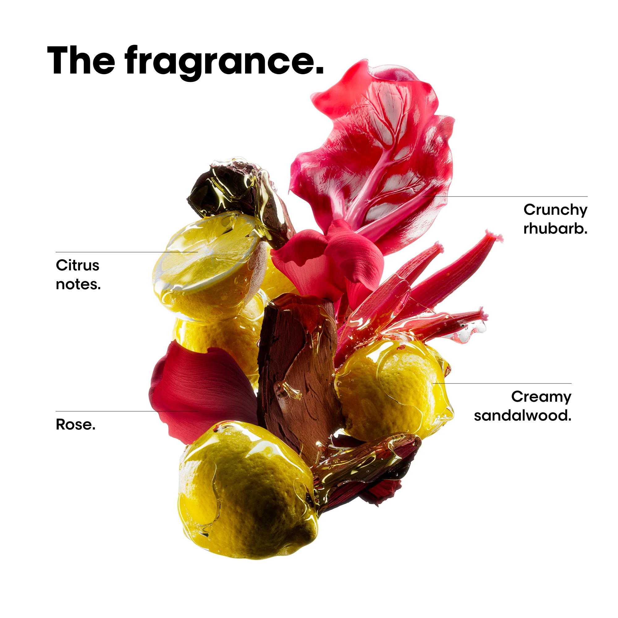 L'Oreal Professionnel Serie Expert Vitamino Colour Spectrum Shampoo, Mask & Serum Trio - Image 9