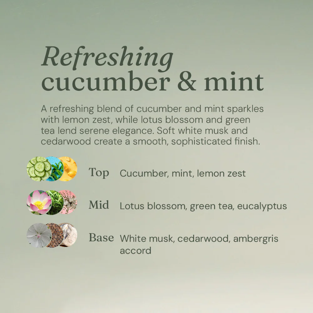 Miniml Anti-Bacterial Bathroom Cleaner Cucumber & Mint 5000ml - Image 5