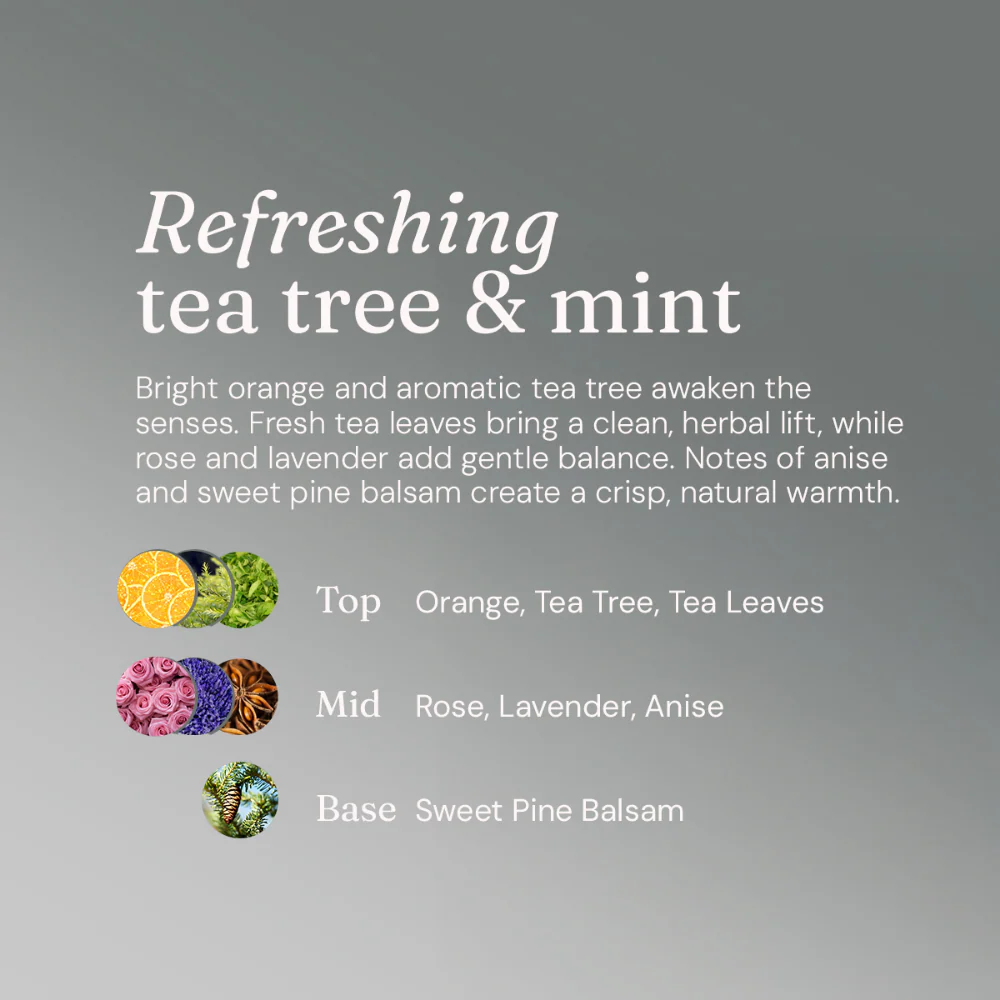 Miniml Eco-Friendly Conditioner Tea Tree & Mint 5000ml - Image 5