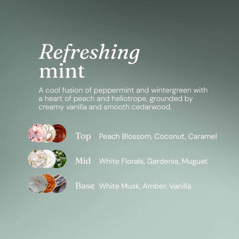 Miniml Natural Refillable Window & Glass Cleaner Mint 5000ml - Image 5