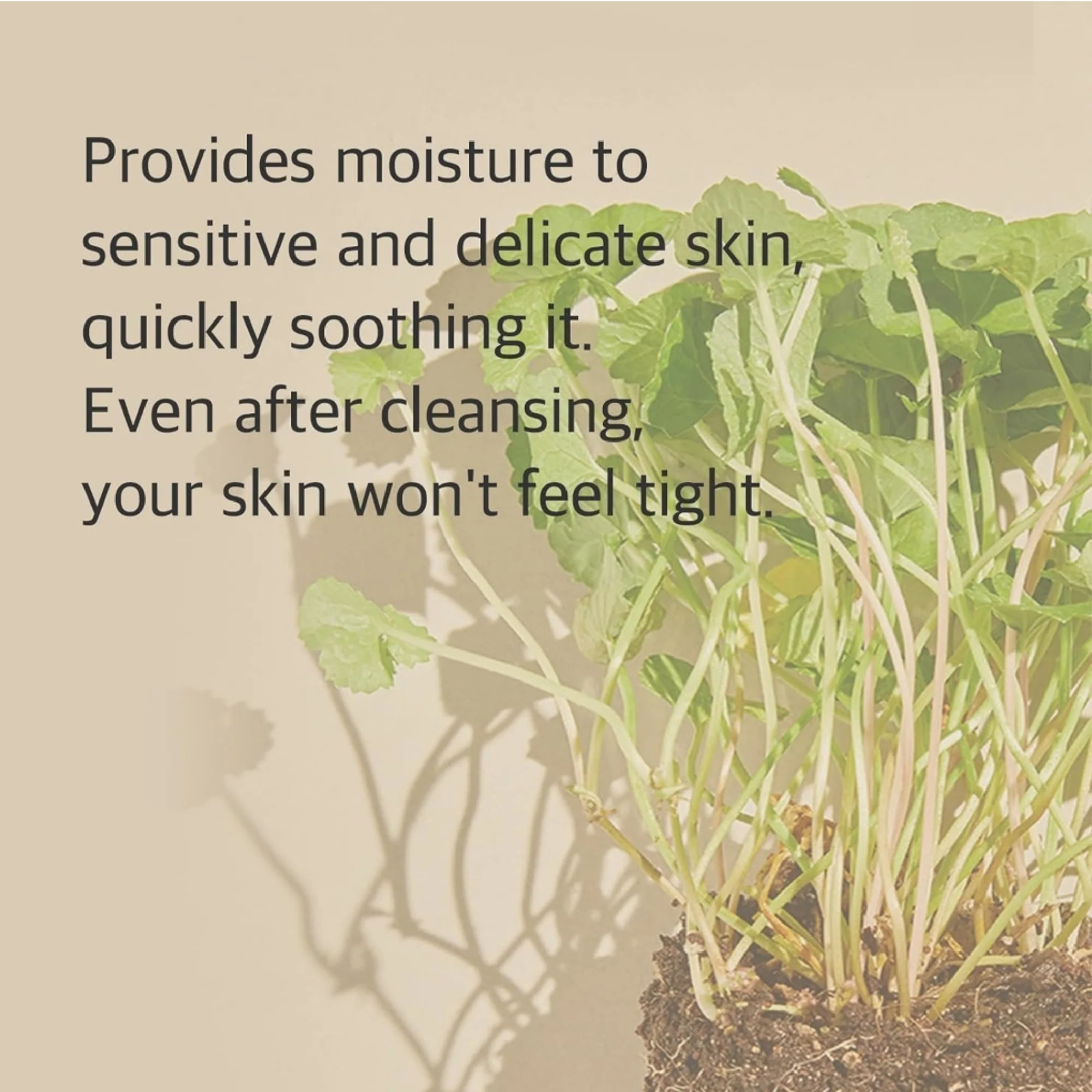 Mixsoon Centella Cleansing Foam 150ml - Image 6