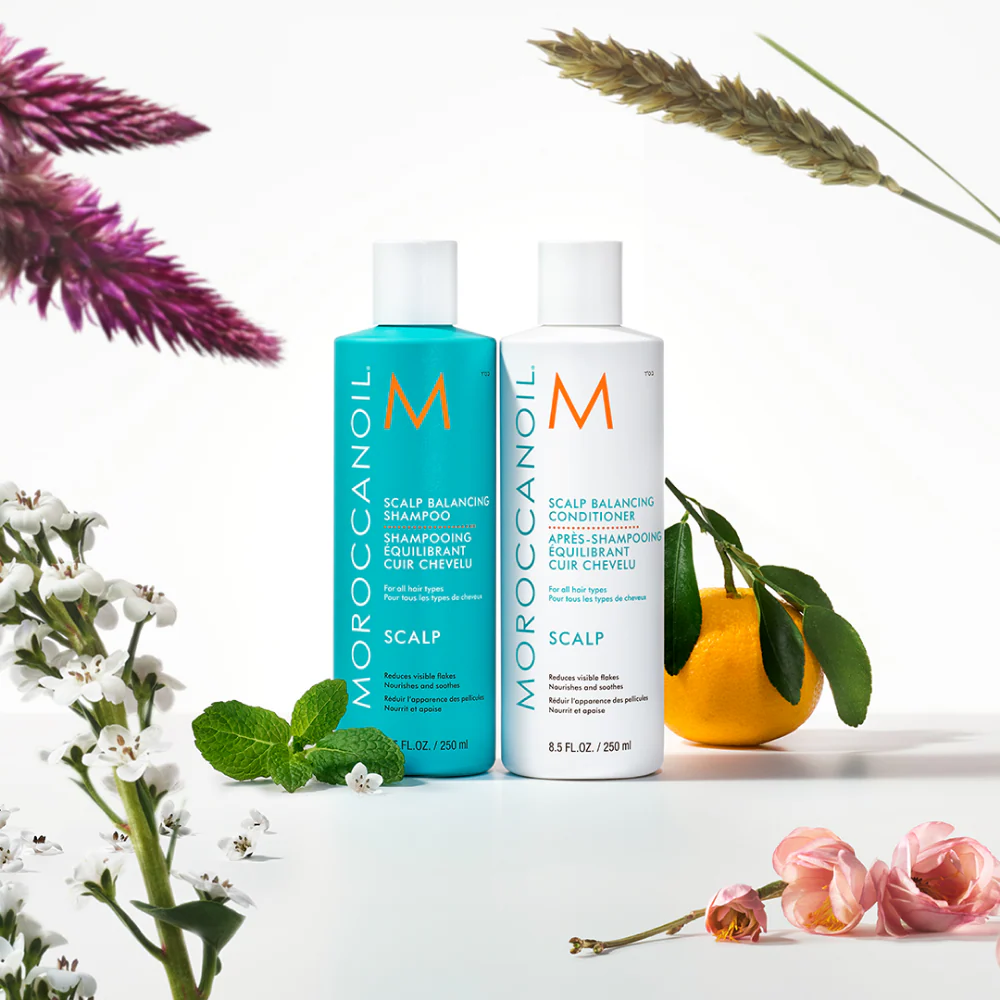 Moroccanoil Scalp Balancing Shampoo & Conditioner Twin 2 x 250ml - Image 2