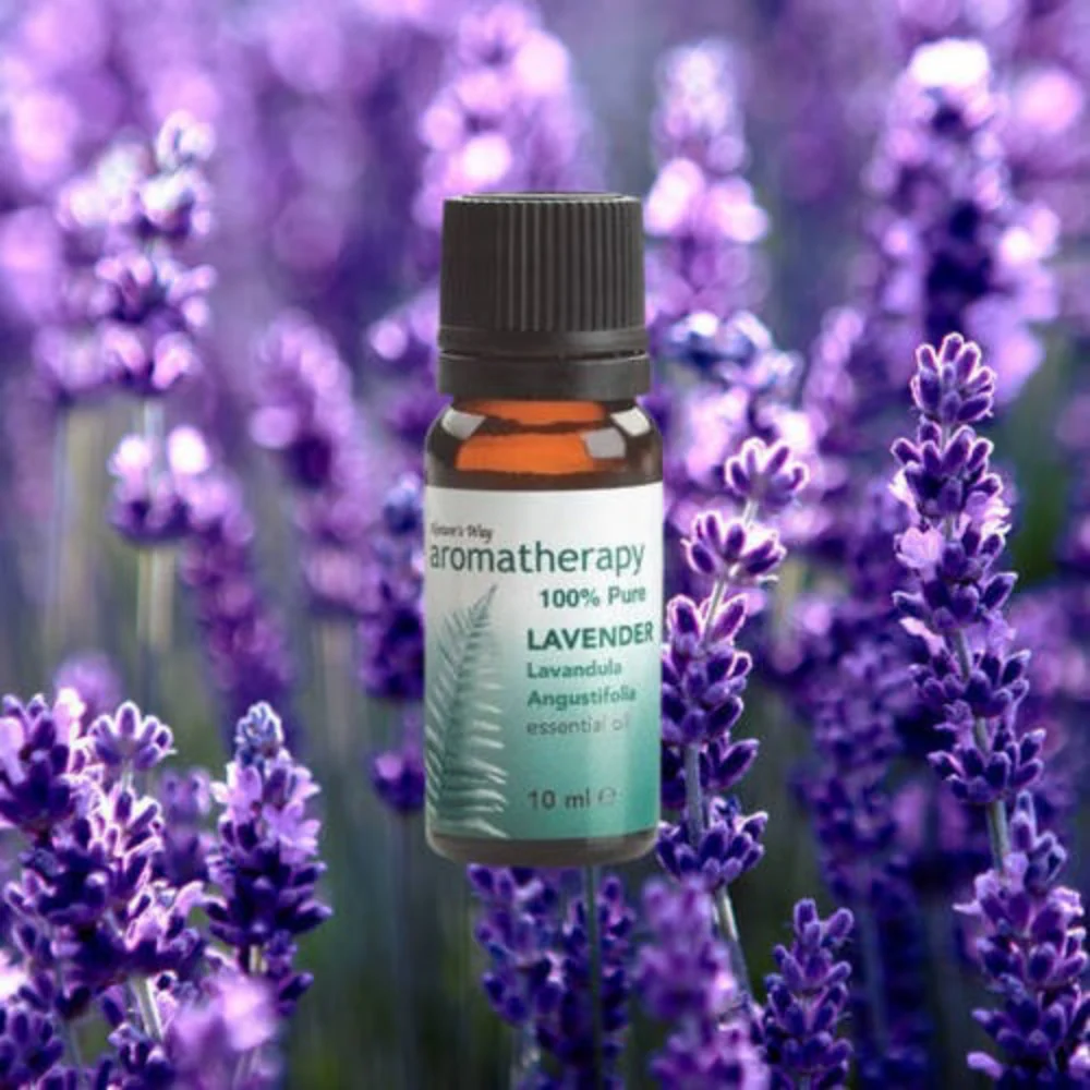 Nature's Way Lavender Essential Oil 10ml - Image 2