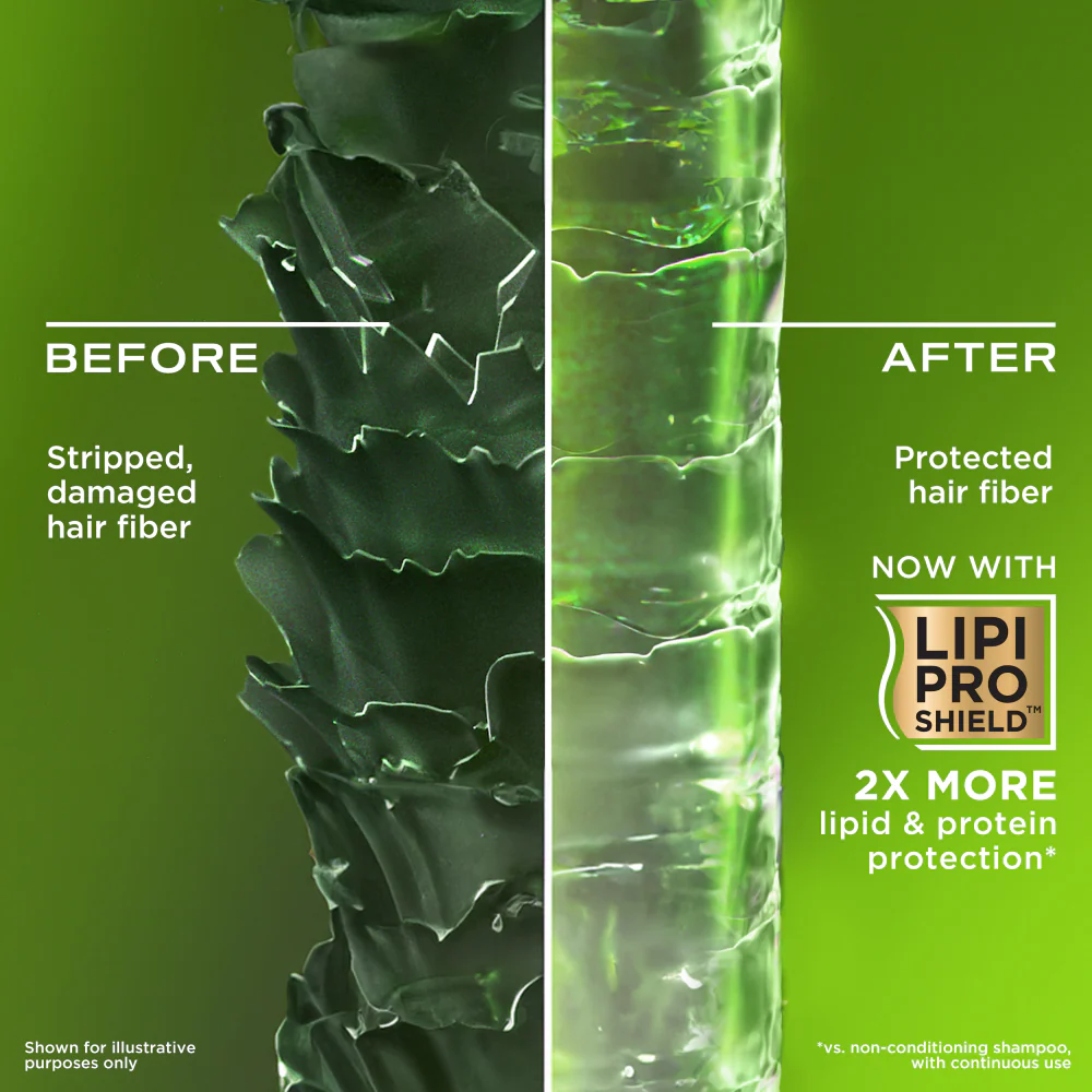 OGX Refreshing Strength+ Clarifying Rosemary & Mint Shampoo 385ml - Image 3
