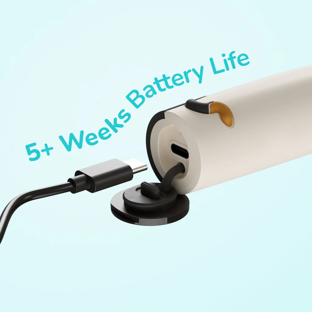 Ordo Sonic Kids Rechargeable Electric Toothbrush Squishmallows Cam - Image 8