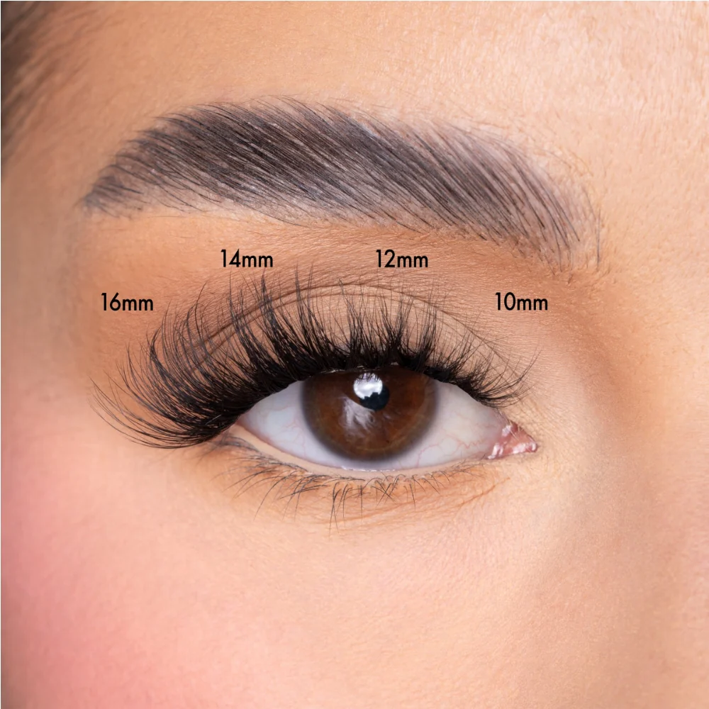 Unicorn Cosmetics Shut The Fluff Up Unbearlievable DIY Individual Lash Clusters Black - Image 5