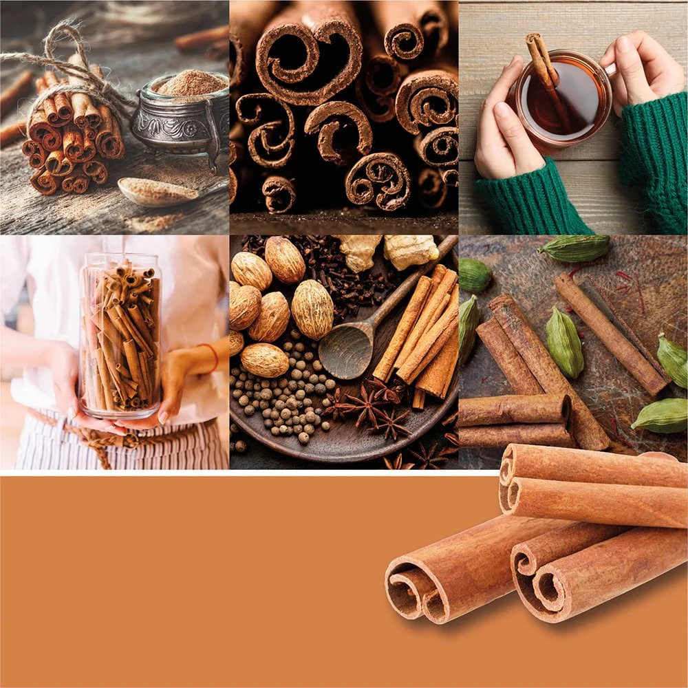 Yankee Candle Scent Plug Refills Cinnamon Stick 2 x 18.5ml - Image 2